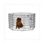 552-30DR - 552-30DR Midwest Black E-Coat 30 Exercise Pen for Dogs with Step-Thru Door
