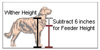 Measure dog for raised dog bowl feeder